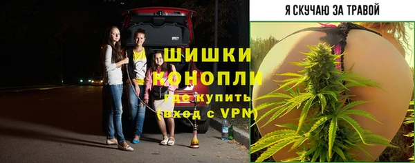 скорость Тайга