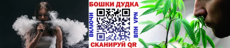Купить где  Кондрово  Бошки Шишки ГИДРОПОН 
